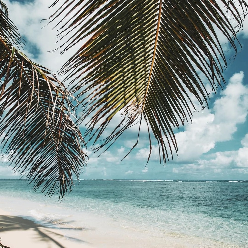 Meet your Posher, Kaitlyn